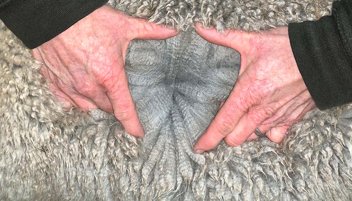 Inca Grey Neptune Fleece_1140x650