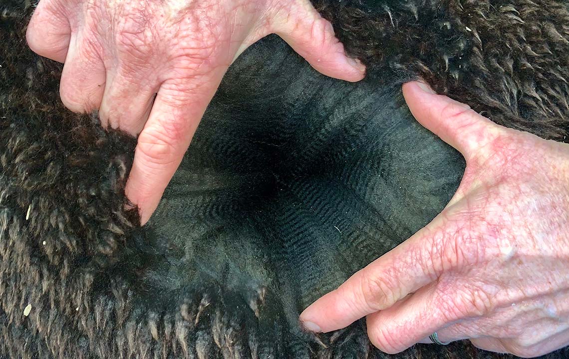 Inca Nimbus Fleece_1140x720